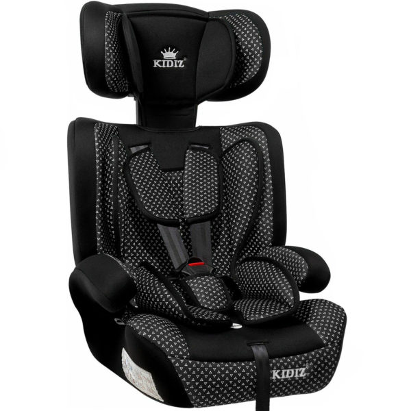 автокресло Днепр